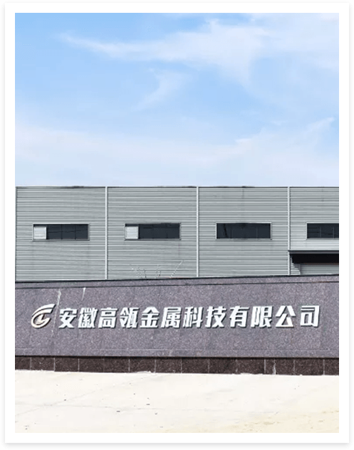 มณฑลอานฮุย Go-wins (WATOW HTM) Metal Technology Co., Ltd.